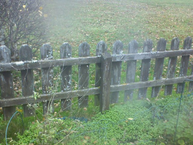 CPGP Garden Cam : Historik