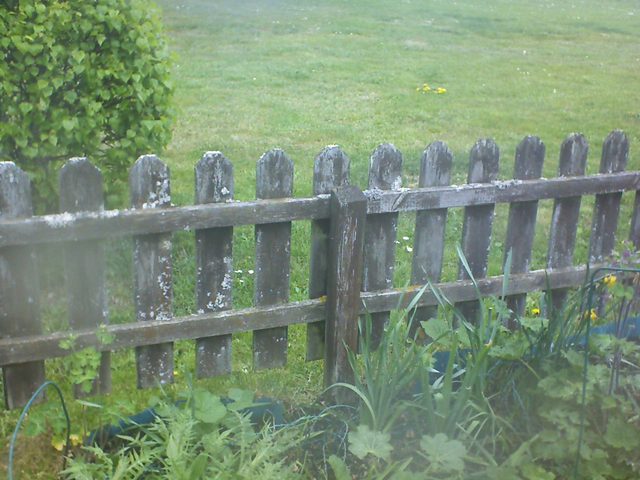 Staket, V�nster