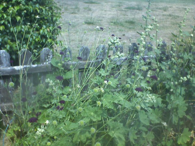 2026-07-01.jpg
