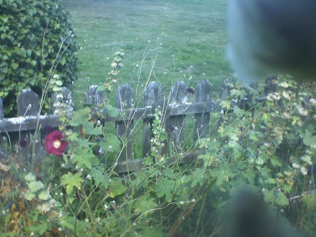 2026-08-23.jpg