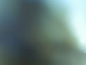 2026-08-03.jpg