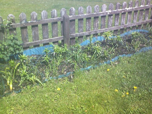 2026-05-16.jpg