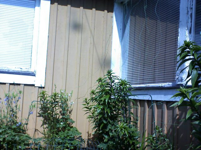 CPGP Garden Cam : Historik