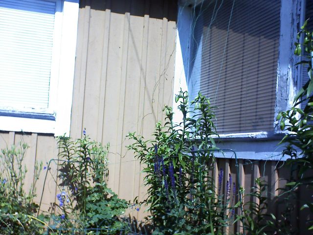 CPGP Garden Cam : Historik