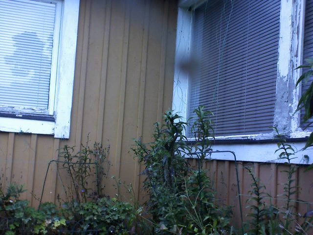 CPGP Garden Cam : Historik