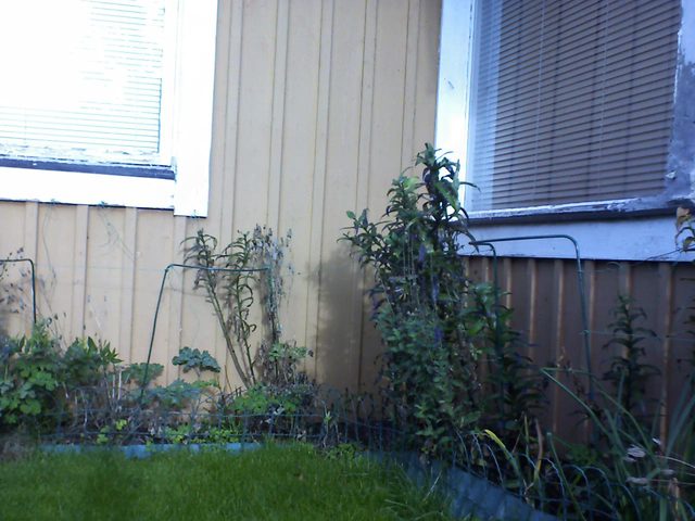 CPGP Garden Cam : Historik