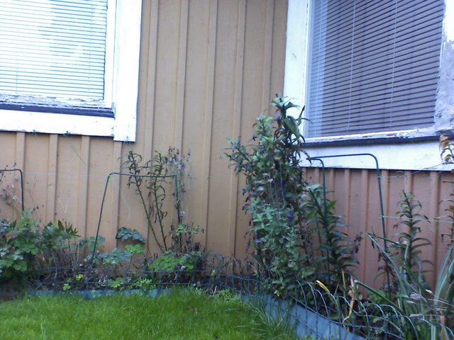 CPGP Garden Cam : Historik