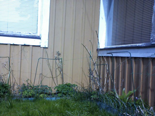 Vinkel