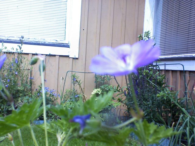 2026-07-01.jpg