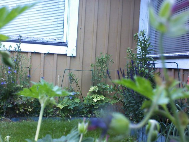 Vinkel