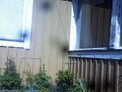 2025-05-11.jpg