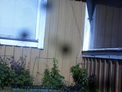 2025-05-19.jpg