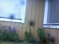 2025-05-24.jpg
