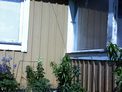 2025-05-29.jpg