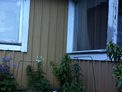 2025-05-30.jpg