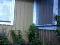 2025-06-07.jpg