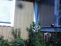 2025-08-14.jpg