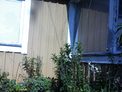 2025-08-19.jpg