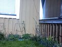 2026-05-01.jpg