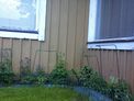 2026-05-17.jpg