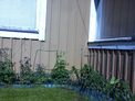 2026-05-18.jpg