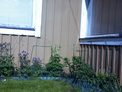 2026-05-20.jpg