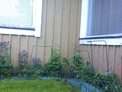 2026-05-21.jpg