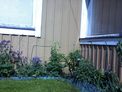 2026-05-24.jpg
