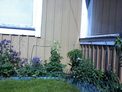 2026-05-25.jpg