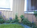 2026-05-26.jpg