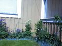 2026-05-29.jpg