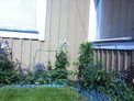 2026-06-01.jpg