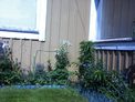 2026-06-03.jpg