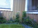 2026-06-04.jpg