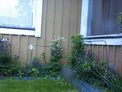 2026-06-06.jpg
