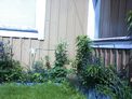 2026-06-08.jpg