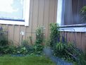 2026-06-09.jpg
