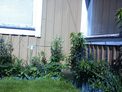 2026-06-10.jpg