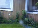 2026-06-11.jpg