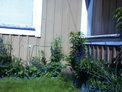 2026-06-12.jpg