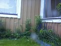 2026-06-13.jpg