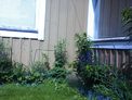 2026-06-14.jpg