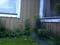 2026-06-15.jpg