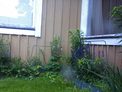 2026-06-16.jpg