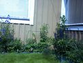 2026-06-20.jpg