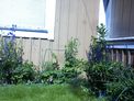2026-06-21.jpg