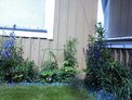 2026-06-24.jpg