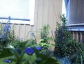 2026-06-27.jpg