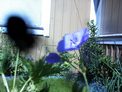 2026-06-30.jpg