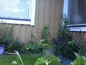 2026-07-05.jpg